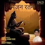 Bhajan Ratan - Dinesh Kumar Dube Song Download
